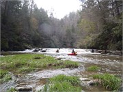 Spring Creek 39